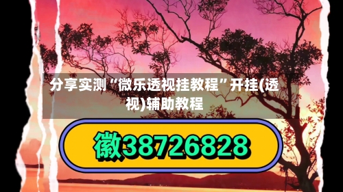 分享实测“微乐透视挂教程”开挂(透视)辅助教程-第2张图片