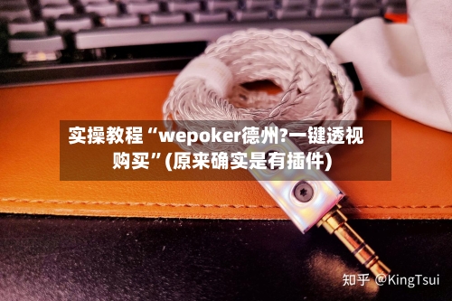 实操教程“wepoker德州?一键透视购买	”(原来确实是有插件)-第1张图片