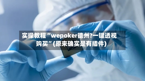 实操教程“wepoker德州?一键透视购买”(原来确实是有插件)-第2张图片