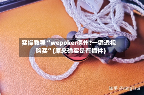 实操教程“wepoker德州?一键透视购买”(原来确实是有插件)-第3张图片