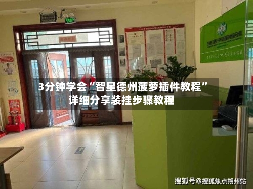 3分钟学会“智星德州菠萝插件教程	”详细分享装挂步骤教程-第1张图片