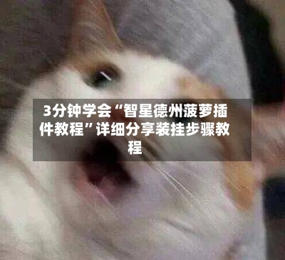 3分钟学会“智星德州菠萝插件教程”详细分享装挂步骤教程-第2张图片