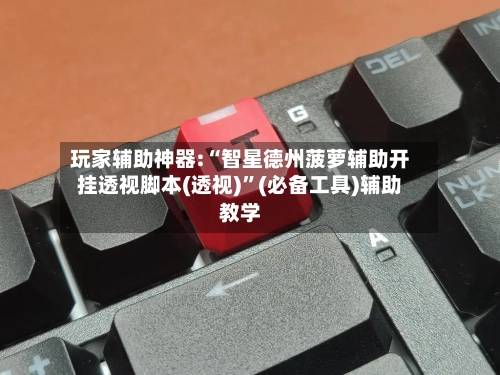 玩家辅助神器:“智星德州菠萝辅助开挂透视脚本(透视)	”(必备工具)辅助教学-第2张图片