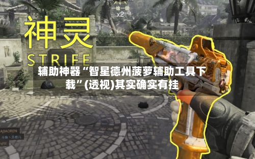 辅助神器“智星德州菠萝辅助工具下载”(透视)其实确实有挂-第2张图片