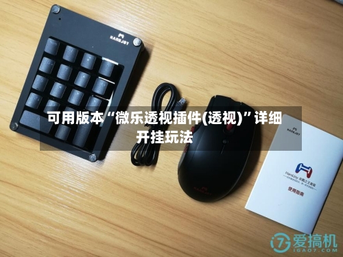 可用版本“微乐透视插件(透视)”详细开挂玩法-第2张图片