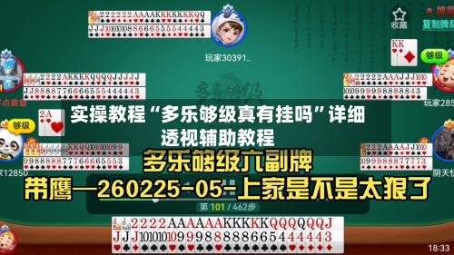 实操教程“多乐够级真有挂吗	”详细透视辅助教程-第3张图片