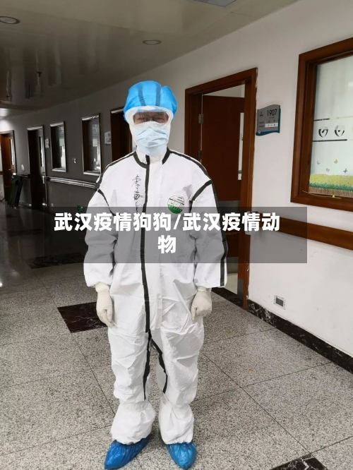 武汉疫情狗狗/武汉疫情动物-第3张图片