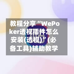 教程分享“WePoker透视插件怎么安装(透视)	”(必备工具)辅助教学-第3张图片