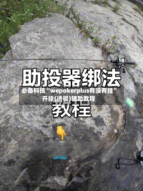 必备科技“wepokerplus有没有挂	”开挂(透视)辅助教程-第2张图片