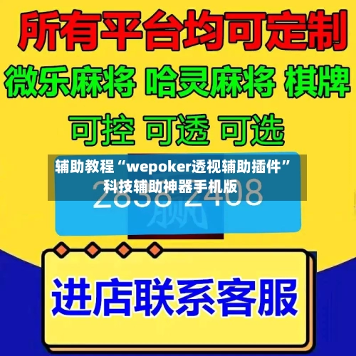 辅助教程“wepoker透视辅助插件”科技辅助神器手机版-第2张图片