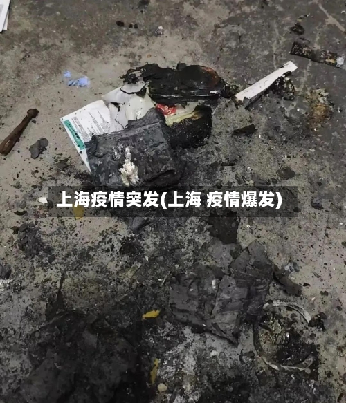 上海疫情突发(上海 疫情爆发)-第3张图片