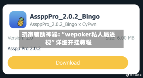 玩家辅助神器:“wepoker私人局透视”详细开挂教程-第3张图片