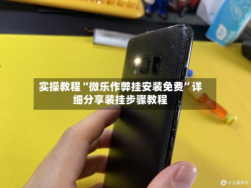 实操教程“微乐作弊挂安装免费”详细分享装挂步骤教程-第3张图片